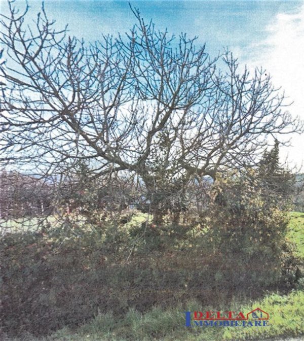 casa indipendente in vendita a Cecina