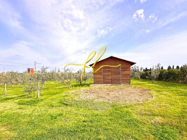 terreno agricolo in vendita a Cecina