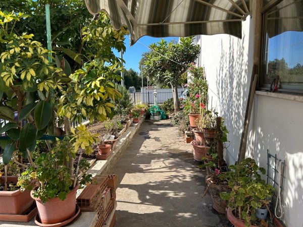 appartamento in vendita a Cecina