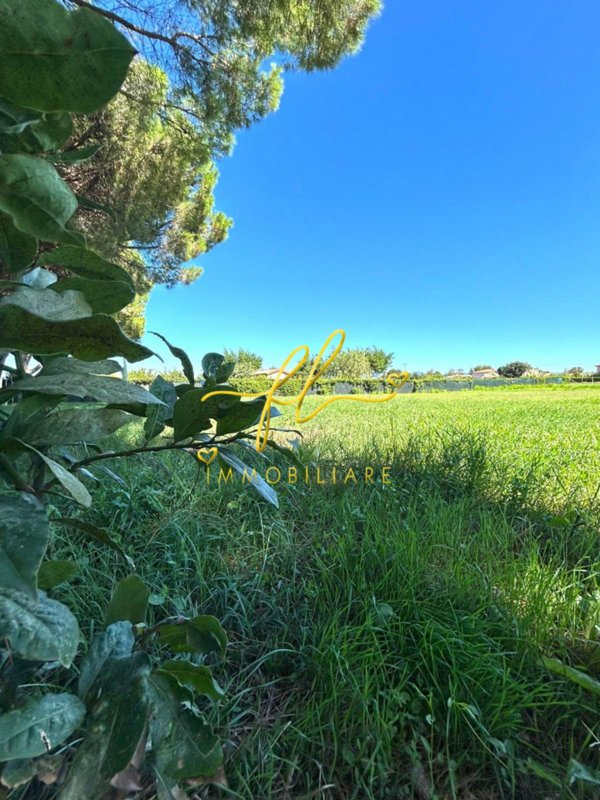 terreno agricolo in vendita a Cecina