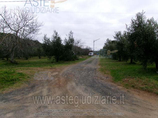 terreno agricolo in vendita a Cecina