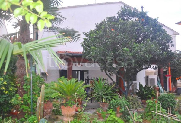 casa indipendente in vendita a Cecina