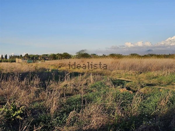 terreno agricolo in vendita a Cecina