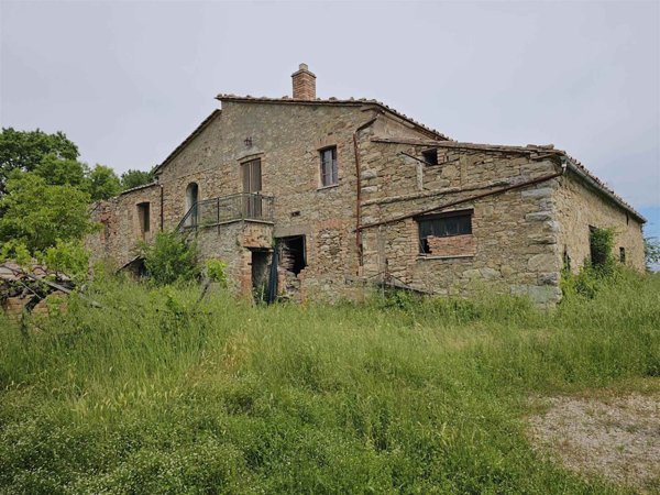 azienda agricola in vendita a Cecina