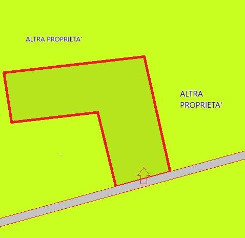terreno agricolo in vendita a Cecina