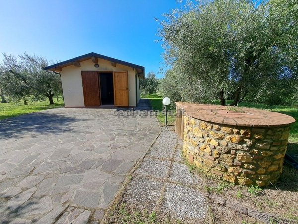 terreno agricolo in vendita a Cecina