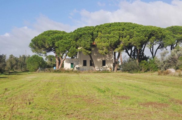 casa indipendente in vendita a Cecina