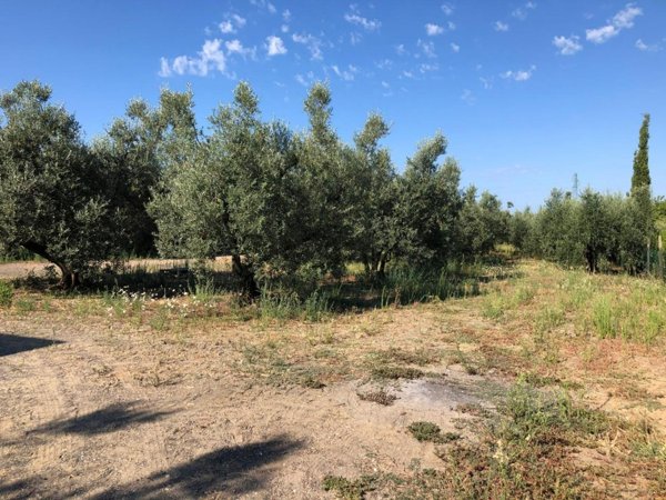 casa indipendente in vendita a Cecina