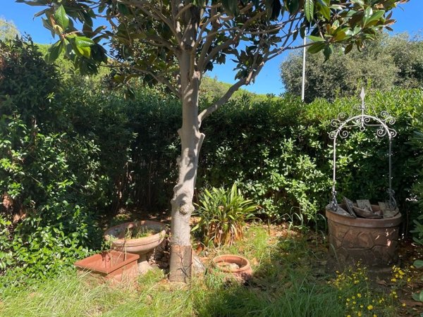 appartamento in vendita a Cecina