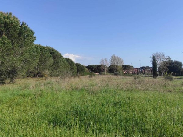 terreno agricolo in vendita a Cecina