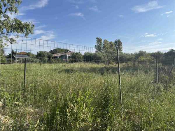 terreno agricolo in vendita a Cecina
