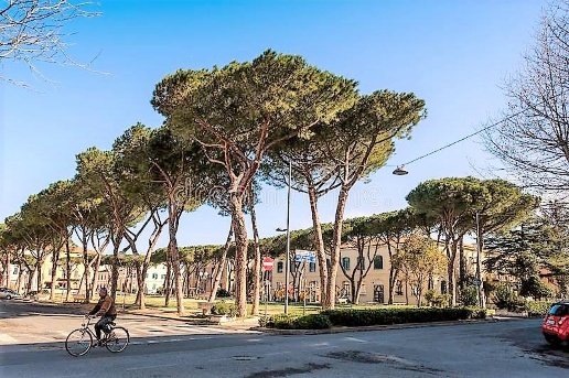 appartamento in vendita a Cecina