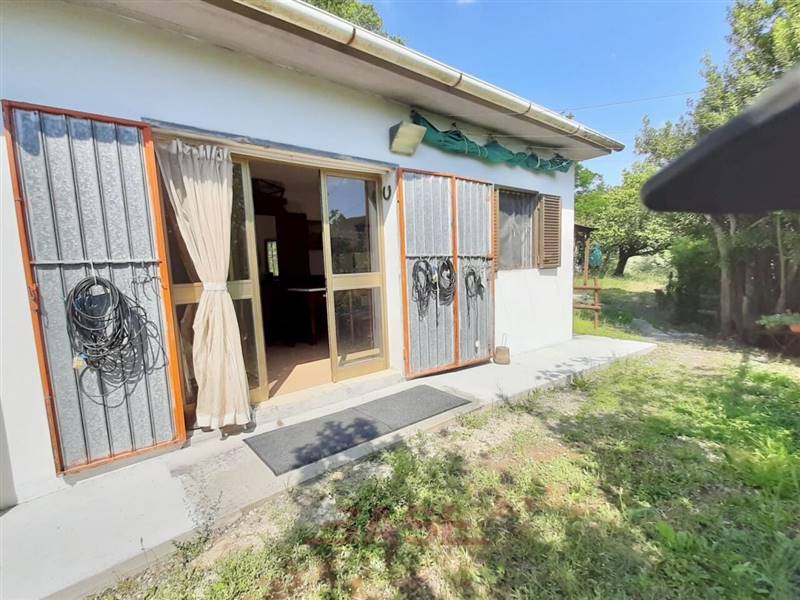 terreno agricolo in vendita a Cecina