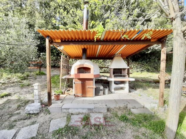 terreno agricolo in vendita a Cecina