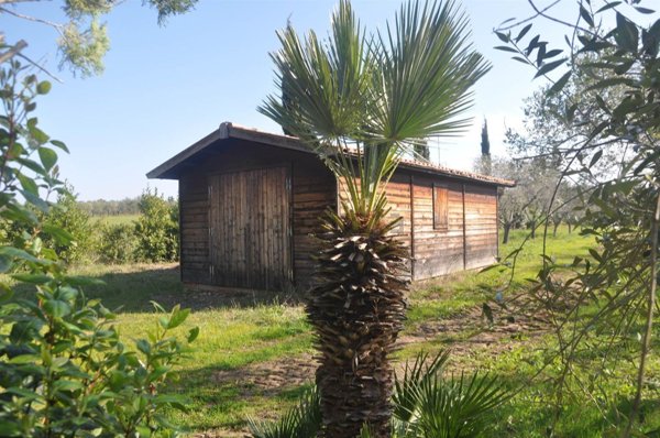 casa indipendente in vendita a Cecina