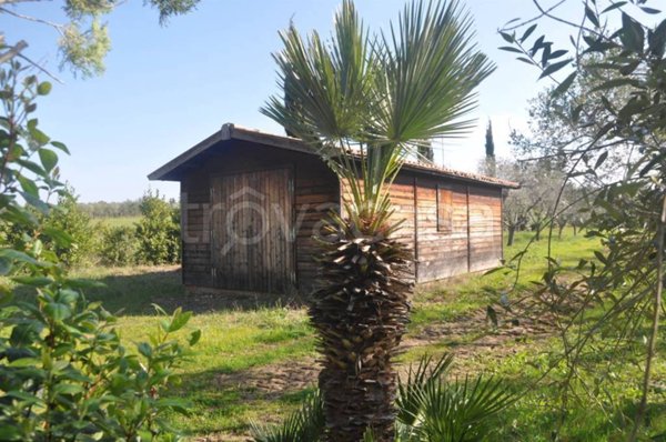 casa indipendente in vendita a Cecina