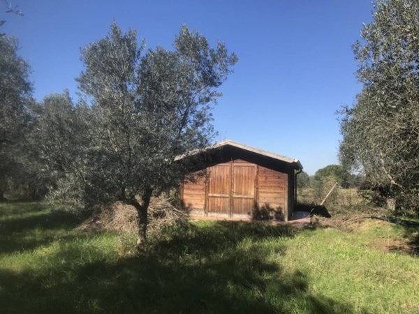 casa indipendente in vendita a Cecina