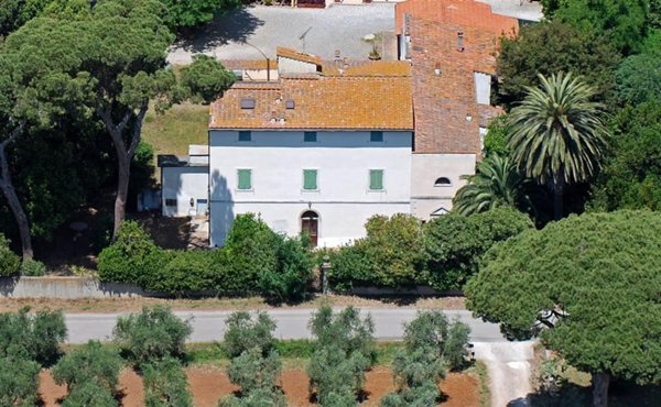 negozio in vendita a Cecina