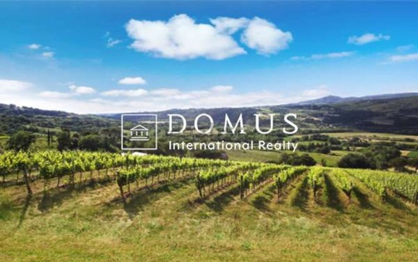 azienda agricola in vendita a Cecina