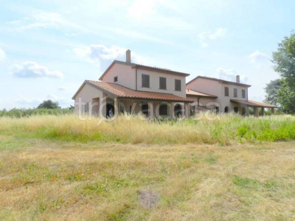 casa indipendente in vendita a Cecina