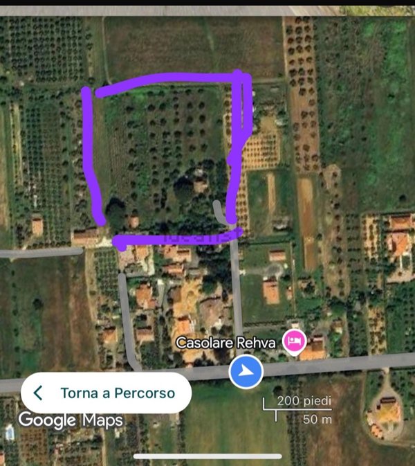 quadrivano in vendita a Cecina