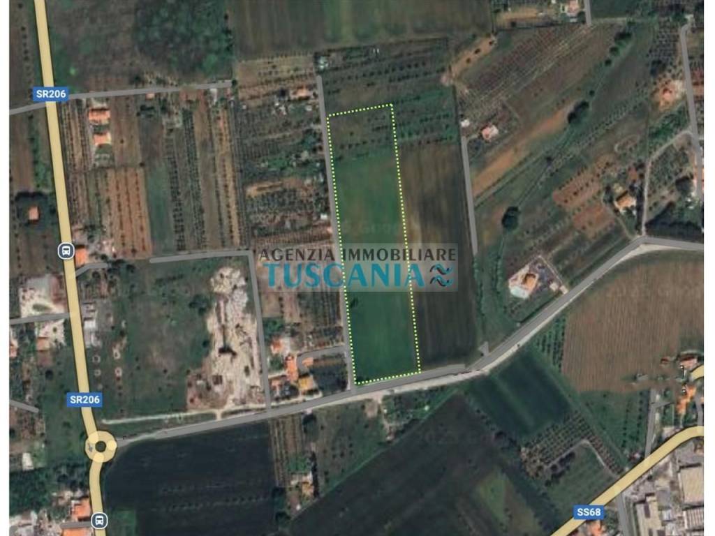 terreno agricolo in vendita a Cecina