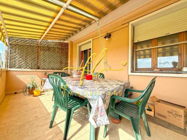 immagine annuncio 0 di 15