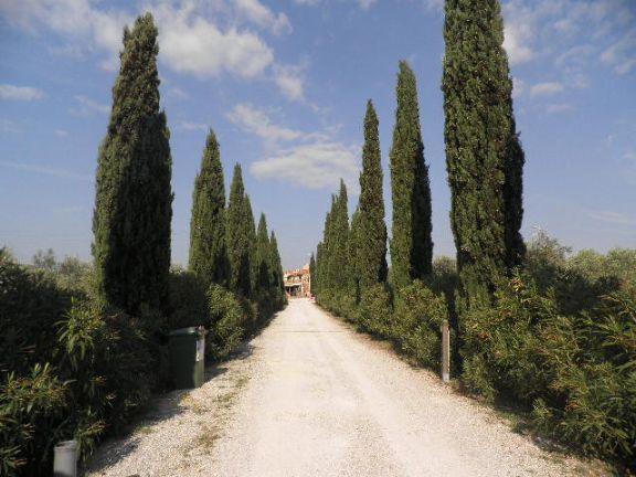 appartamento in vendita a Cecina
