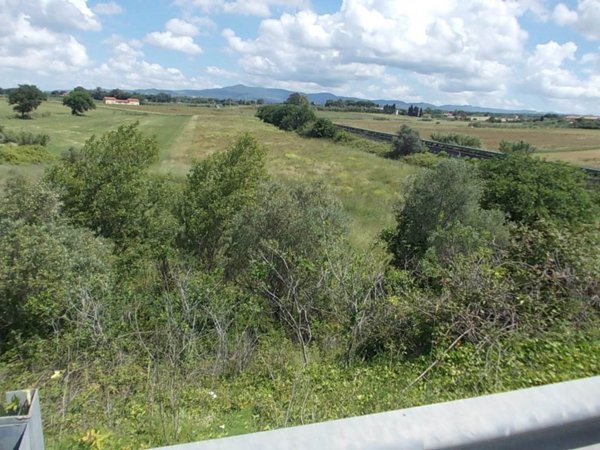 terreno agricolo in vendita a Cecina