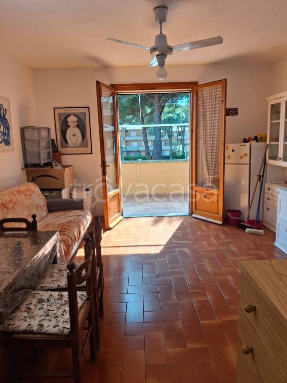 appartamento in vendita a Cecina