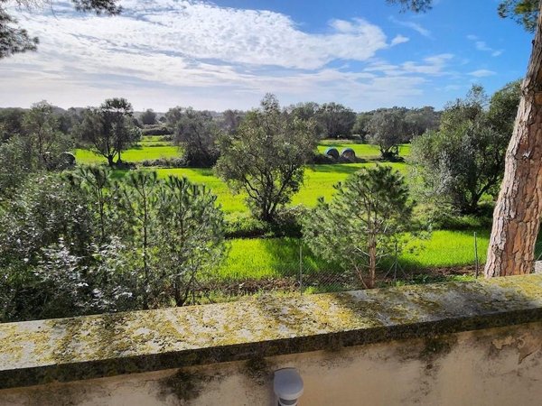 casa indipendente in vendita a Cecina