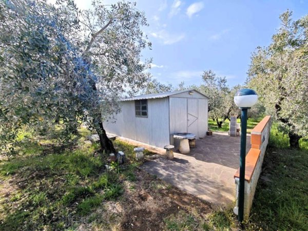 casa indipendente in vendita a Cecina