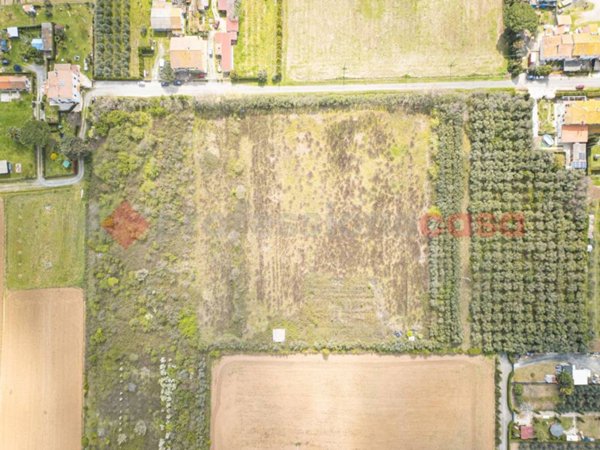 terreno agricolo in vendita a Cecina