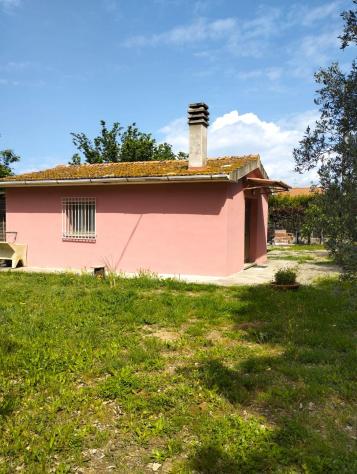 terreno agricolo in vendita a Cecina