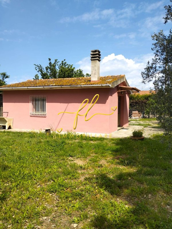 terreno agricolo in vendita a Cecina