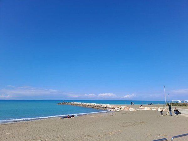 appartamento in vendita a Cecina