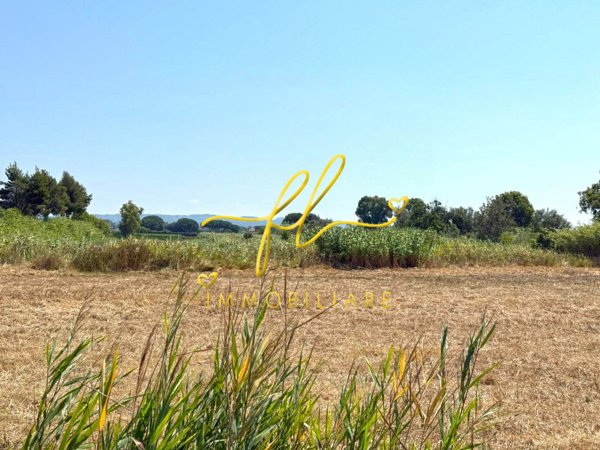 terreno agricolo in vendita a Cecina
