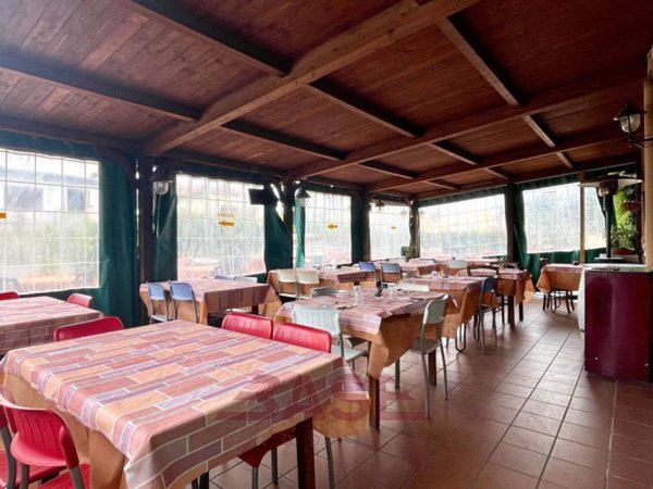 negozio in vendita a Cecina