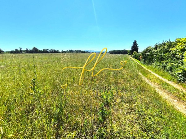 terreno agricolo in vendita a Cecina