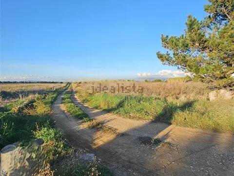 terreno agricolo in vendita a Cecina