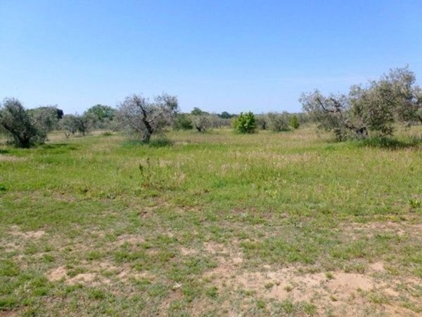 casa indipendente in vendita a Cecina