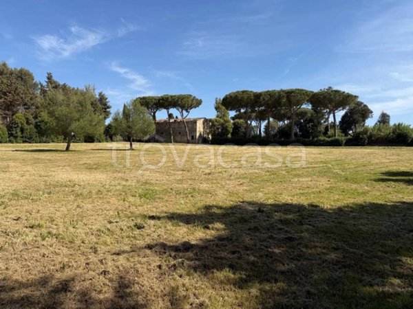 casa indipendente in vendita a Cecina