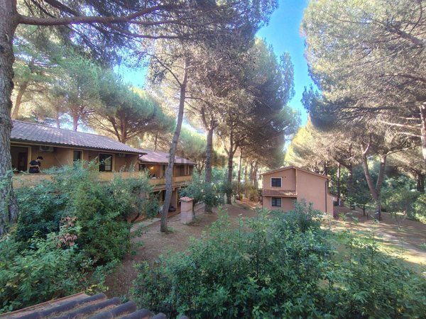 appartamento in vendita a Cecina