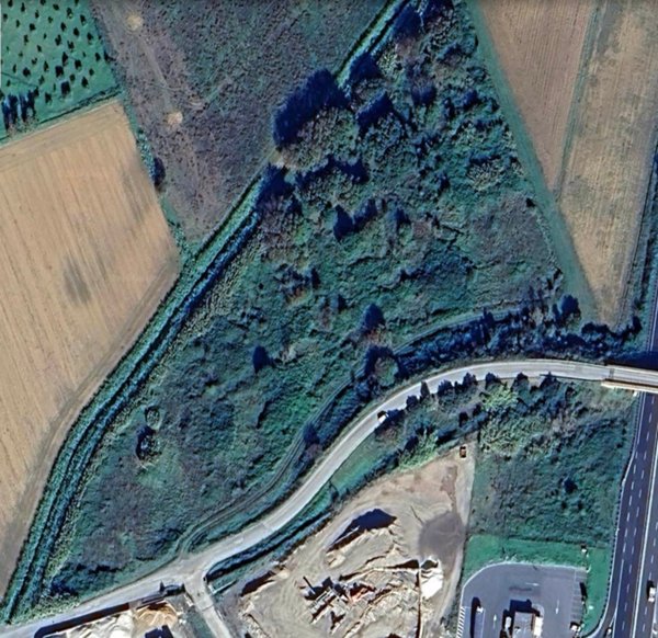 terreno agricolo in vendita a Cecina