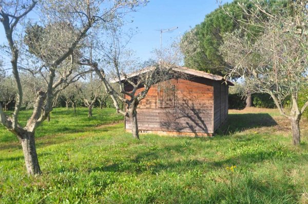 appartamento in vendita a Cecina