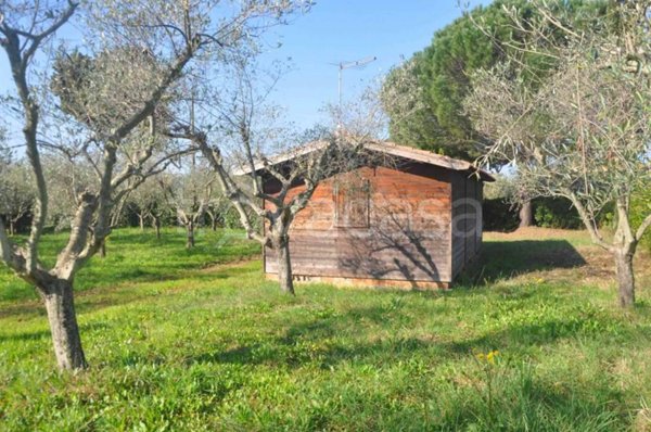 casa indipendente in vendita a Cecina