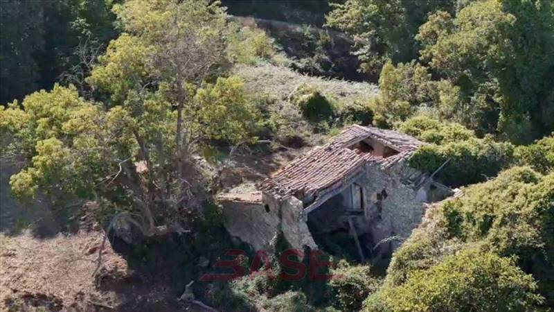 azienda agricola in vendita a Cecina