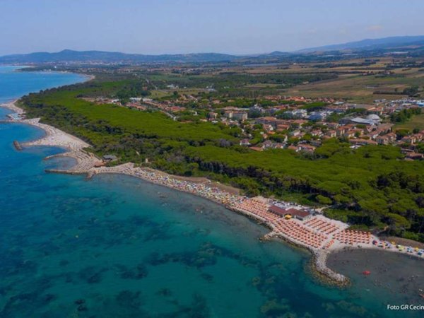 appartamento in vendita a Cecina