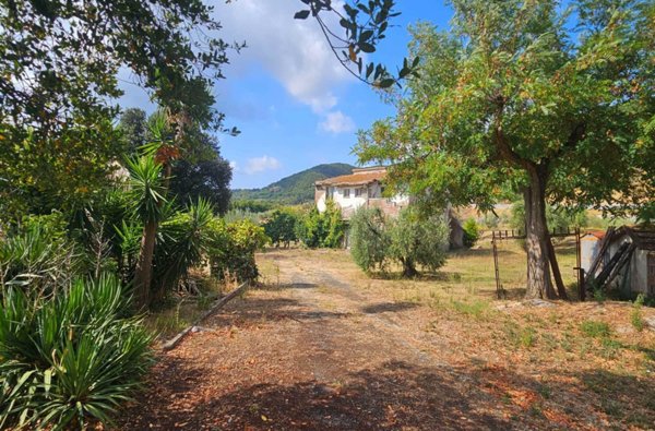 casa indipendente in vendita a Cecina