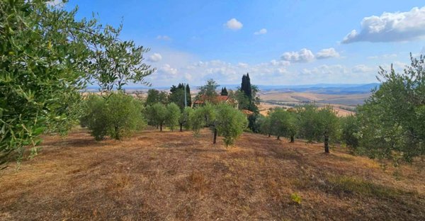 casa indipendente in vendita a Cecina